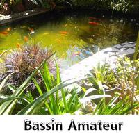 Amateur de bassin ポスター