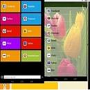 Web browser APK