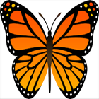 butterflies missions icono