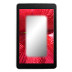 Mirror Flower Frame Pack 1 icon