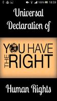 UDHR Human Rights Poster