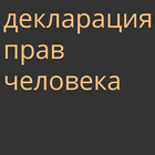 декларация прав человека иконка