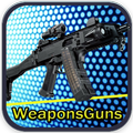 Gun Sim Weapons