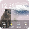 fox APK