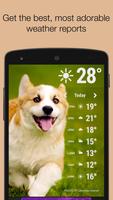 Weather Puppies Ekran Görüntüsü 1