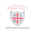 ikon Holy Cross Boys' PS (BT14 7EX)