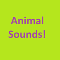 Animal Sounds