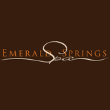 Emerald Springs Spa Team App ícone