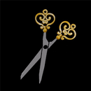 House of Beauty APK
