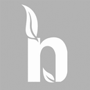 Team App NBS APK