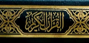 Pocket Quran