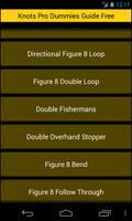 Free Knots Pro Dummies Guide โปสเตอร์