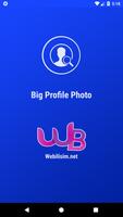 Big Profile Photo plakat