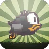 Flappy Crow X aplikacja