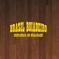 brasilboiadeiro 海报