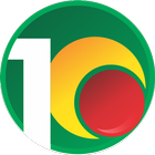 ikon r100
