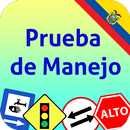 Prueba de Manejo - Carro Lite APK