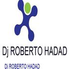 DJ ROBERTO HADAD 2K16 иконка