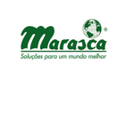 Marasca 아이콘