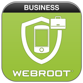 Business Security icon