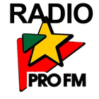 Radio PRO FM-icoon