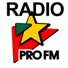 Radio PRO FM icône