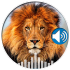 Animal Voice-icoon