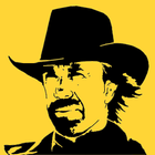 Icona Chuck Norris - Fakty