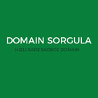 Domain Sorgulama icône