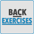 Back Exercises ikon