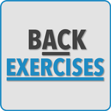 Back Exercises ไอคอน
