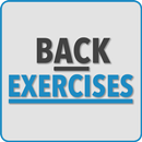 Back Exercises APK