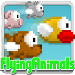 飞行动物