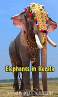 Kerala Elephants Affiche