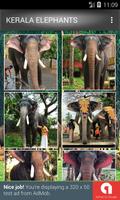 Kerala Elephants ảnh chụp màn hình 1