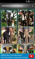 Kerala Elephants capture d'écran 2