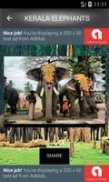 Kerala Elephants capture d'écran 3