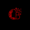 Sinhala Wedding Tips APK