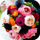 Wedding Bouquet Ideas APK