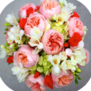 Best Wedding Bouquet APK