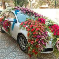 Wedding car decoration скриншот 3