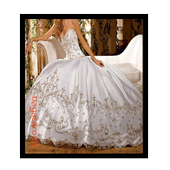 wedding dress ideas icon