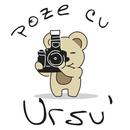 Poze Cu Ursu' APK