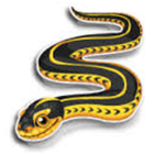 ikon Venomous Snake Id Free