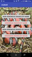 Venomous Snake Id Free Affiche