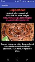 Venomous Snake Id Free screenshot 1