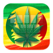 Weed Reggae Keyboard Theme