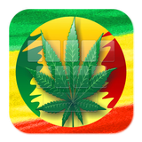 Weed Reggae Keyboard Theme icône