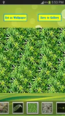Best Weed Wallpapers APK Herunterladen