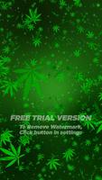 Marijuana Live Wallpaper  FREE 스크린샷 1